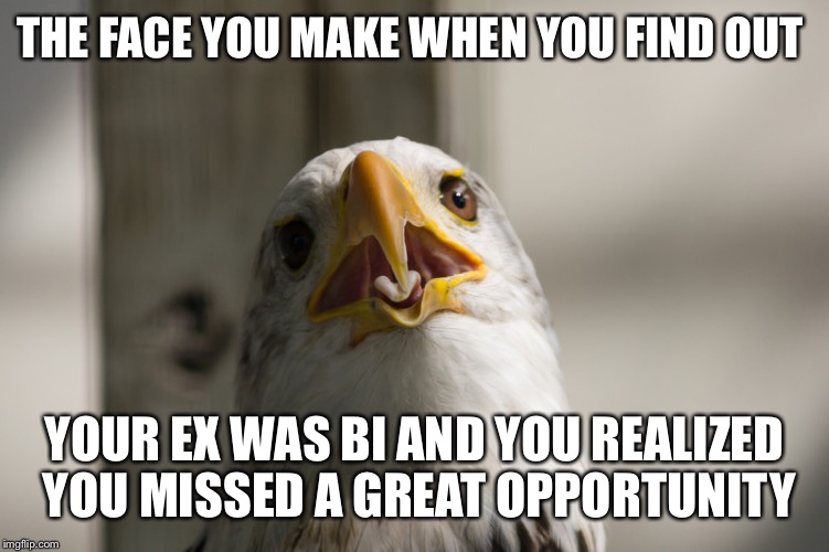THE FACE YOU MAKE WHEN YOU FIND OUT; YOUR EX WAS BI AND YOU REALIZED YOU MISSED A GREAT OPPORTUNITY | image tagged in baffled bald eagle | made w/ Imgflip meme maker