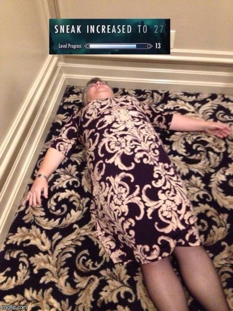 Much stealth, many grandma | image tagged in skyrim | made w/ Imgflip meme maker