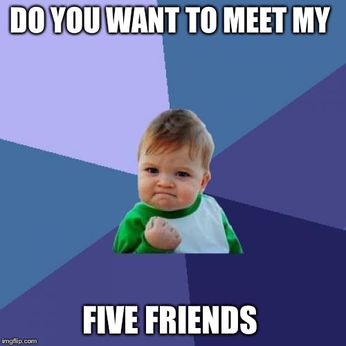 Success Kid | DO YOU WANT TO MEET MY; FIVE FRIENDS | image tagged in memes,success kid | made w/ Imgflip meme maker