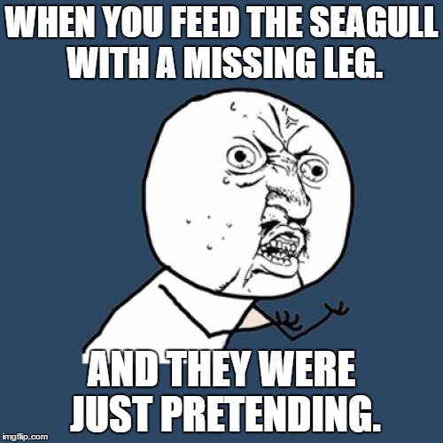 Y U No | WHEN YOU FEED THE SEAGULL WITH A MISSING LEG. AND THEY WERE JUST PRETENDING. | image tagged in memes,y u no | made w/ Imgflip meme maker