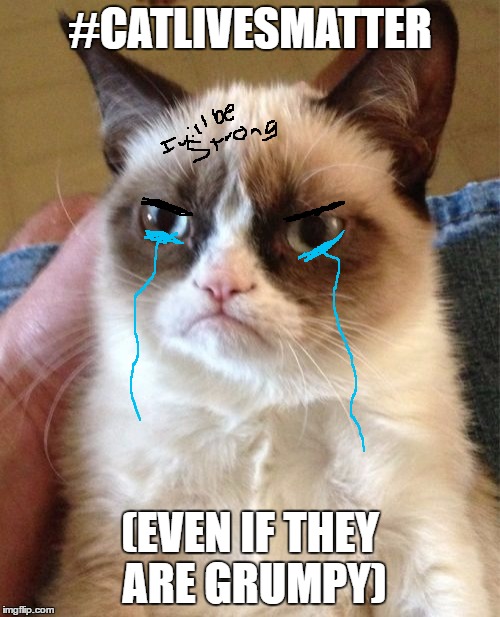 Grumpy Cat Meme | #CATLIVESMATTER; (EVEN IF THEY ARE GRUMPY) | image tagged in memes,grumpy cat | made w/ Imgflip meme maker
