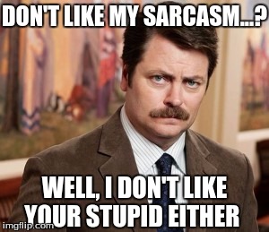 Ron Swanson says it how it is | DON'T LIKE MY SARCASM...? WELL, I DON'T LIKE YOUR STUPID EITHER | image tagged in memes,ron swanson,funny memes | made w/ Imgflip meme maker