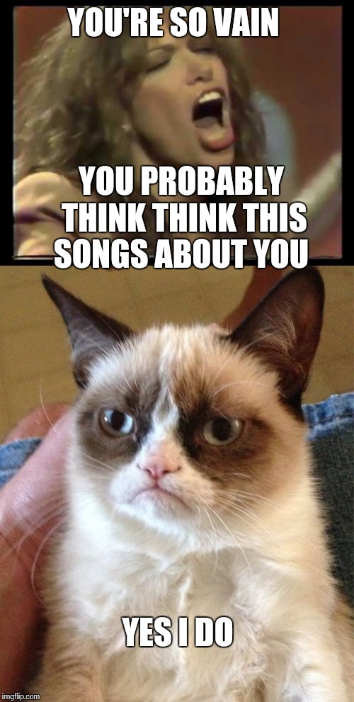 Vain grumpy cat YOU'RE SO VAIN; YOU PROBABLY THINK THINK THIS SONGS AB...