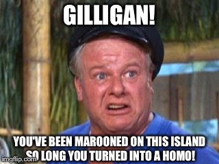 Skipper | GILLIGAN! YOU'VE BEEN MAROONED ON THIS ISLAND SO LONG YOU TURNED INTO A HOMO! | image tagged in skipper | made w/ Imgflip meme maker