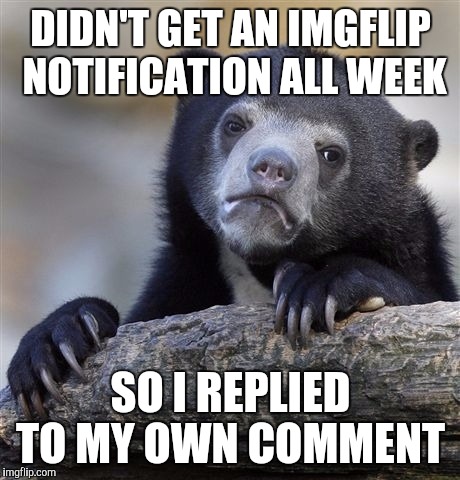 Confession Bear | DIDN'T GET AN IMGFLIP NOTIFICATION ALL WEEK; SO I REPLIED TO MY OWN COMMENT | image tagged in memes,confession bear | made w/ Imgflip meme maker