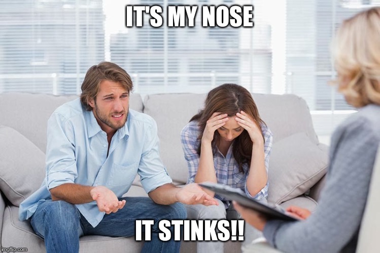 couples therapy | IT'S MY NOSE; IT STINKS!! | image tagged in couples therapy | made w/ Imgflip meme maker