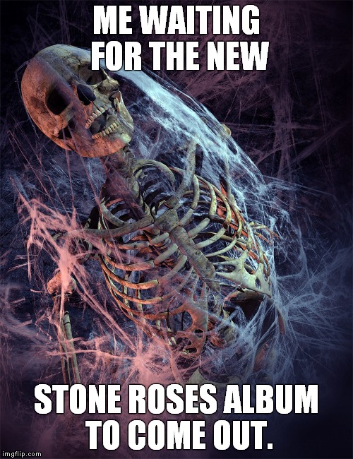 cobwebs | ME WAITING FOR THE NEW; STONE ROSES ALBUM TO COME OUT. | image tagged in cobwebs | made w/ Imgflip meme maker