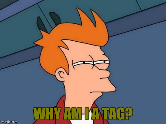 Futurama Fry Meme | WHY AM I A TAG? | image tagged in memes,futurama fry | made w/ Imgflip meme maker