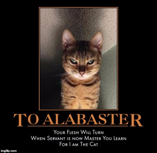 Servant is Your Master | . | image tagged in demotivationals,wmp,for i am the cat | made w/ Imgflip meme maker