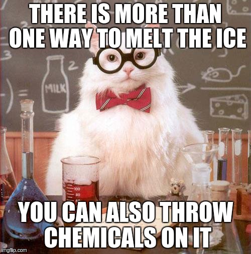 Science Cat | THERE IS MORE THAN ONE WAY TO MELT THE ICE; YOU CAN ALSO THROW CHEMICALS ON IT | image tagged in science cat | made w/ Imgflip meme maker