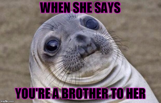 Awkward Moment Sealion | WHEN SHE SAYS; YOU'RE A BROTHER TO HER | image tagged in memes,awkward moment sealion | made w/ Imgflip meme maker
