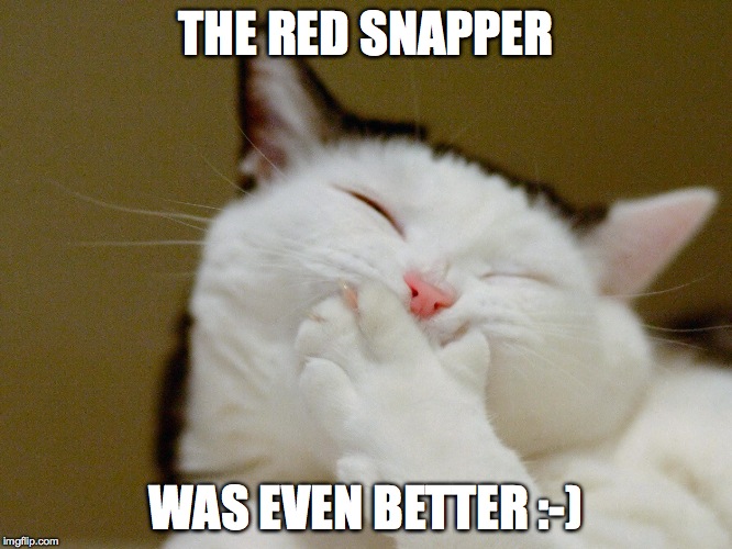 THE RED SNAPPER WAS EVEN BETTER :-) | made w/ Imgflip meme maker