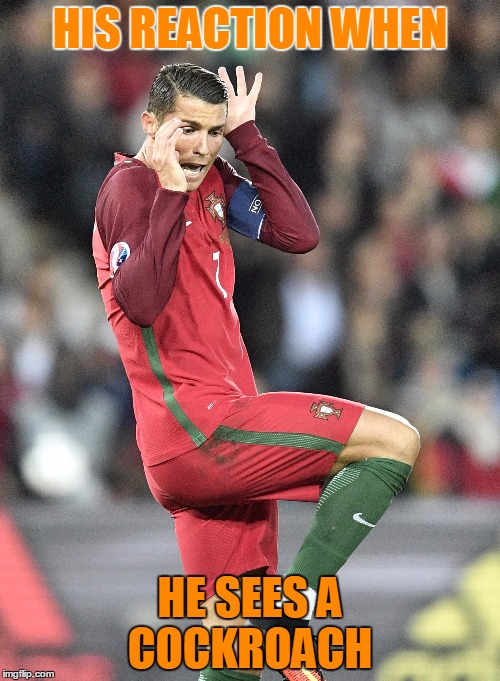 Cristiano Ronaldo | HIS REACTION WHEN; HE SEES A COCKROACH | image tagged in cristiano ronaldo | made w/ Imgflip meme maker