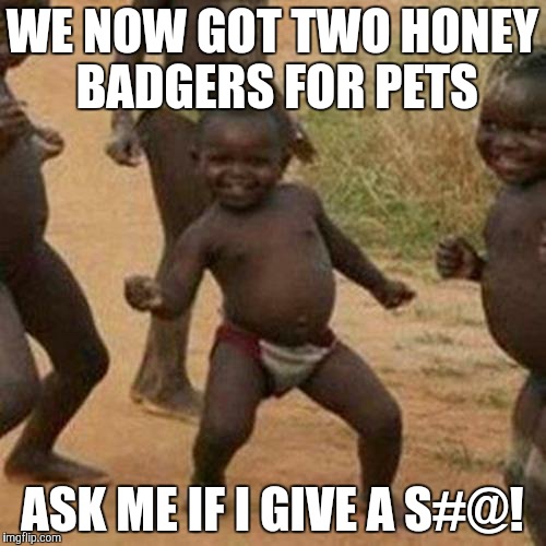 Third World Success Kid Meme | WE NOW GOT TWO HONEY BADGERS FOR PETS; ASK ME IF I GIVE A S#@! | image tagged in memes,third world success kid | made w/ Imgflip meme maker