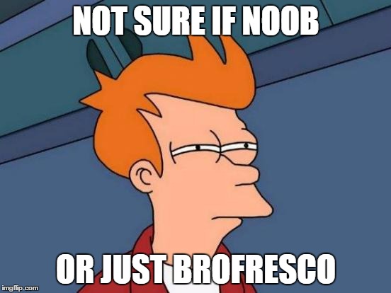 Futurama Fry | NOT SURE IF NOOB; OR JUST BROFRESCO | image tagged in memes,futurama fry | made w/ Imgflip meme maker