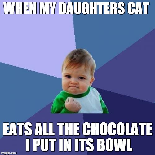 Success Kid Meme | WHEN MY DAUGHTERS CAT; EATS ALL THE CHOCOLATE I PUT IN ITS BOWL | image tagged in memes,success kid | made w/ Imgflip meme maker