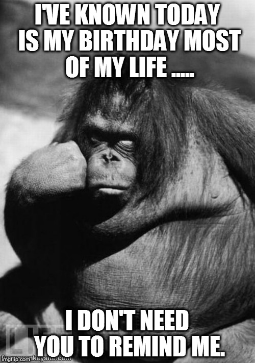 Bored monkey | I'VE KNOWN TODAY IS MY BIRTHDAY MOST OF MY LIFE ..... I DON'T NEED YOU TO REMIND ME. | image tagged in bored monkey | made w/ Imgflip meme maker
