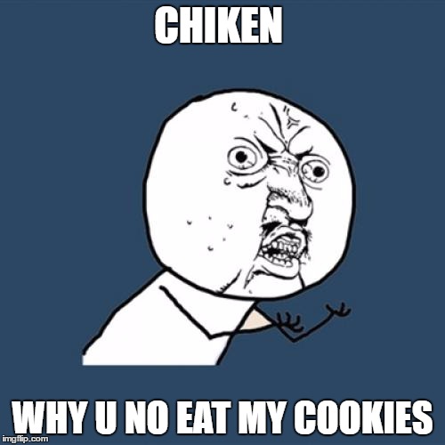 Stupid Chiken | CHIKEN; WHY U NO EAT MY COOKIES | image tagged in memes,y u no | made w/ Imgflip meme maker