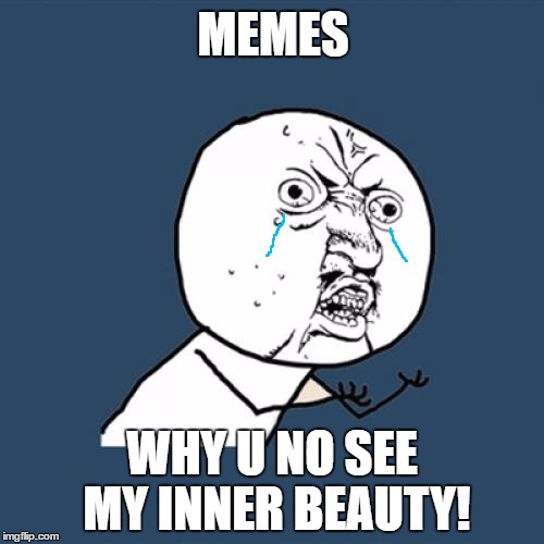 Y U No | MEMES; WHY U NO SEE MY INNER BEAUTY! | image tagged in memes,y u no | made w/ Imgflip meme maker