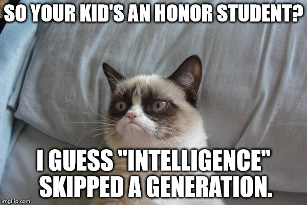 Grumpy Cat Bed Meme | SO YOUR KID'S AN HONOR STUDENT? I GUESS "INTELLIGENCE" SKIPPED A GENERATION. | image tagged in memes,grumpy cat bed,grumpy cat | made w/ Imgflip meme maker
