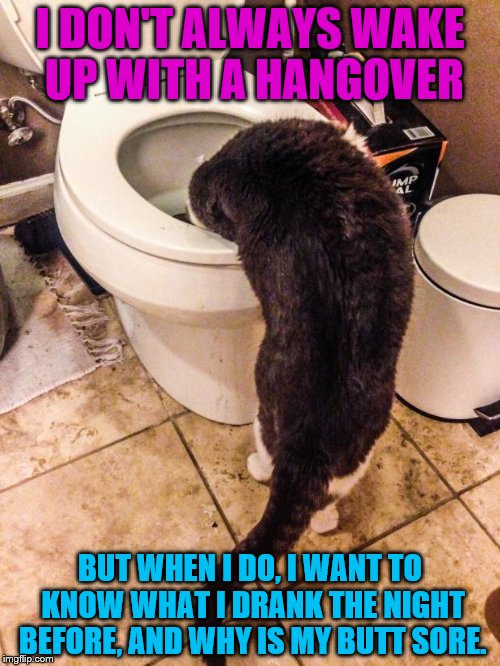 And I don't even drink |  I DON'T ALWAYS WAKE UP WITH A HANGOVER; BUT WHEN I DO, I WANT TO KNOW WHAT I DRANK THE NIGHT BEFORE, AND WHY IS MY BUTT SORE. | image tagged in kitty hangover,memes | made w/ Imgflip meme maker