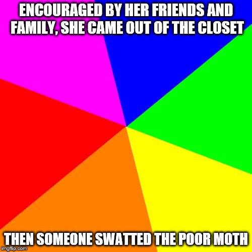 Blank Colored Background Meme | ENCOURAGED BY HER FRIENDS AND FAMILY, SHE CAME OUT OF THE CLOSET; THEN SOMEONE SWATTED THE POOR MOTH | image tagged in memes,blank colored background | made w/ Imgflip meme maker