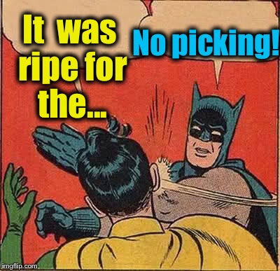 Batman Slapping Robin Meme | It  was ripe for the... No picking! | image tagged in memes,batman slapping robin | made w/ Imgflip meme maker