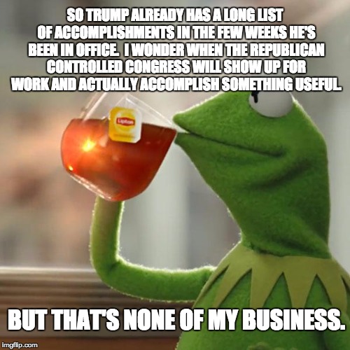 But That's None Of My Business Meme | SO TRUMP ALREADY HAS A LONG LIST OF ACCOMPLISHMENTS IN THE FEW WEEKS HE'S BEEN IN OFFICE.  I WONDER WHEN THE REPUBLICAN CONTROLLED CONGRESS WILL SHOW UP FOR WORK AND ACTUALLY ACCOMPLISH SOMETHING USEFUL. BUT THAT'S NONE OF MY BUSINESS. | image tagged in memes,but thats none of my business,kermit the frog | made w/ Imgflip meme maker