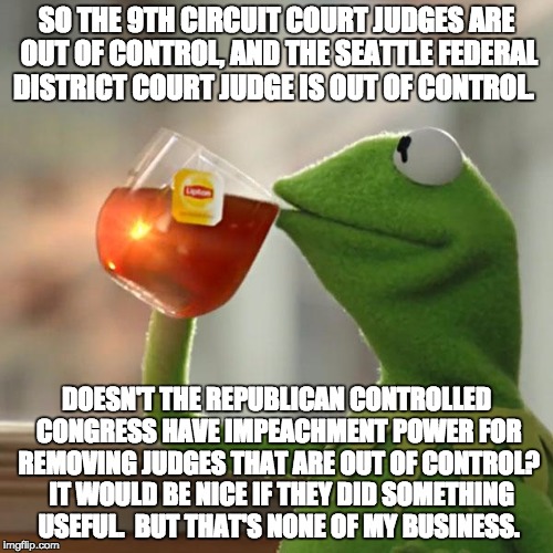 But That's None Of My Business | SO THE 9TH CIRCUIT COURT JUDGES ARE OUT OF CONTROL, AND THE SEATTLE FEDERAL DISTRICT COURT JUDGE IS OUT OF CONTROL. DOESN'T THE REPUBLICAN CONTROLLED CONGRESS HAVE IMPEACHMENT POWER FOR REMOVING JUDGES THAT ARE OUT OF CONTROL?  IT WOULD BE NICE IF THEY DID SOMETHING USEFUL.  BUT THAT'S NONE OF MY BUSINESS. | image tagged in memes,but thats none of my business,kermit the frog | made w/ Imgflip meme maker