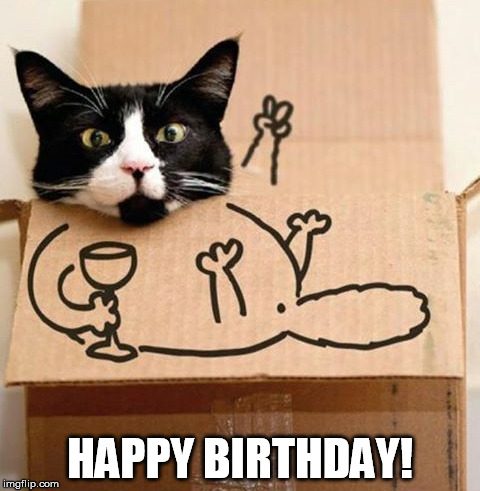 Birthday Cat in the Box | HAPPY BIRTHDAY! | image tagged in happy birthday,cat,box | made w/ Imgflip meme maker