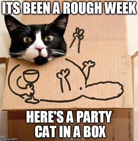 Rough Week Party Cat | ITS BEEN A ROUGH WEEK; HERE'S A PARTY CAT IN A BOX | image tagged in rough,week,party,cat,cat in box,box cat | made w/ Imgflip meme maker