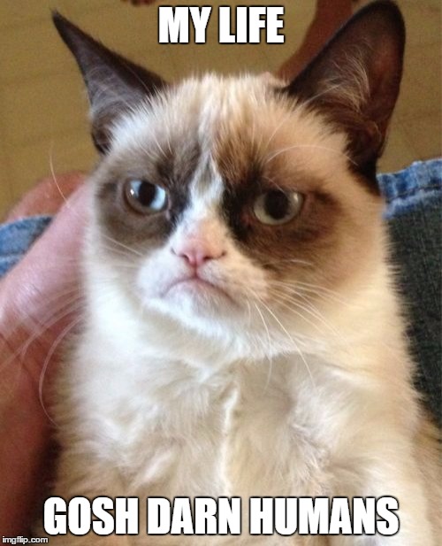 Grumpy Cat | MY LIFE; GOSH DARN HUMANS | image tagged in memes,grumpy cat | made w/ Imgflip meme maker