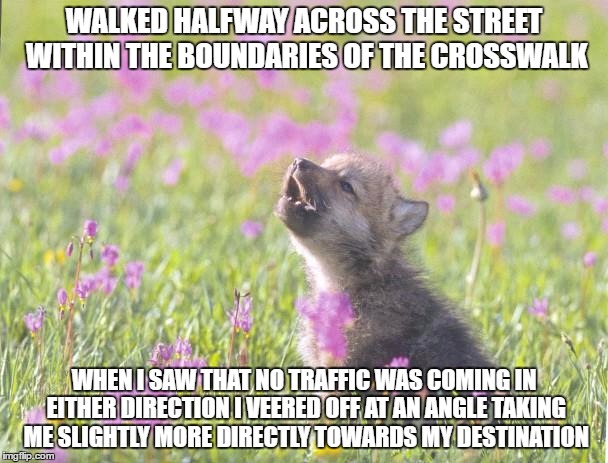 Baby Insanity Wolf Meme | WALKED HALFWAY ACROSS THE STREET WITHIN THE BOUNDARIES OF THE CROSSWALK; WHEN I SAW THAT NO TRAFFIC WAS COMING IN EITHER DIRECTION I VEERED OFF AT AN ANGLE TAKING ME SLIGHTLY MORE DIRECTLY TOWARDS MY DESTINATION | image tagged in memes,baby insanity wolf,AdviceAnimals | made w/ Imgflip meme maker