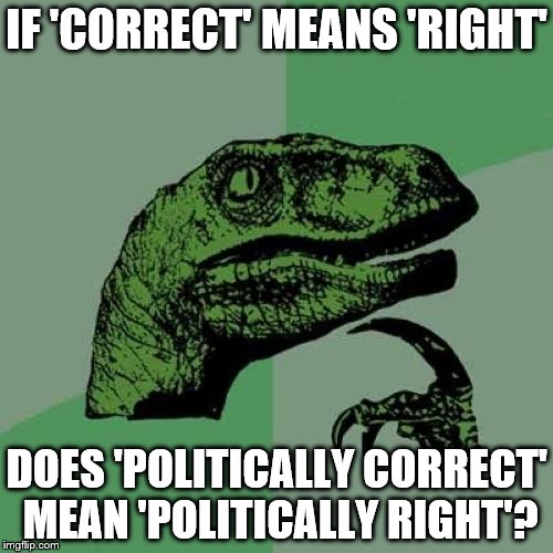 Philosoraptor Meme | IF 'CORRECT' MEANS 'RIGHT'; DOES 'POLITICALLY CORRECT' MEAN 'POLITICALLY RIGHT'? | image tagged in memes,philosoraptor | made w/ Imgflip meme maker