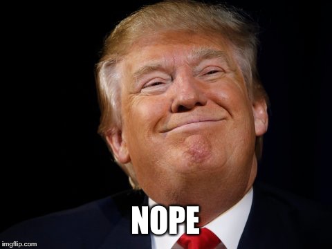 Smug Trump | NOPE | image tagged in smug trump | made w/ Imgflip meme maker