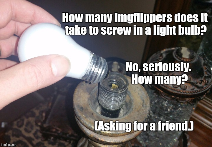 Got any bright ideas?  | How many imgflippers does it take to screw in a light bulb? No, seriously. How many? (Asking for a friend.) | image tagged in light bulb,lightbulb,idea | made w/ Imgflip meme maker