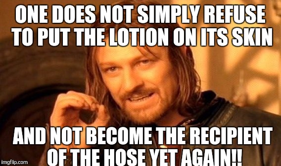 One Does Not Simply | ONE DOES NOT SIMPLY REFUSE TO PUT THE LOTION ON ITS SKIN; AND NOT BECOME THE RECIPIENT OF THE HOSE YET AGAIN!! | image tagged in memes,one does not simply | made w/ Imgflip meme maker