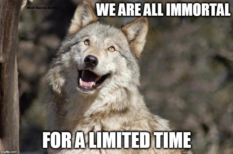 Optimistic Moon Moon Wolf Vanadium Wolf | WE ARE ALL IMMORTAL; FOR A LIMITED TIME | image tagged in optimistic moon moon wolf vanadium wolf | made w/ Imgflip meme maker