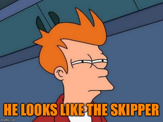 Futurama Fry Meme | HE LOOKS LIKE THE SKIPPER | image tagged in memes,futurama fry | made w/ Imgflip meme maker