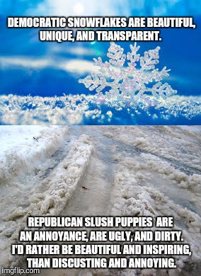 Democratic snowflakes Republican slush puppies  | DEMOCRATIC SNOWFLAKES ARE BEAUTIFUL, UNIQUE, AND TRANSPARENT. REPUBLICAN SLUSH PUPPIES  ARE AN ANNOYANCE, ARE UGLY, AND DIRTY. I'D RATHER BE BEAUTIFUL AND INSPIRING,  THAN DISCUSTING AND ANNOYING. | image tagged in democrat,republican,snowflake,slush puppies | made w/ Imgflip meme maker
