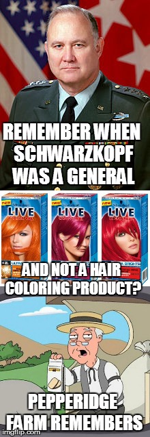 Some things you can't make up... | REMEMBER WHEN SCHWARZKOPF WAS A GENERAL; AND NOT A HAIR COLORING PRODUCT? PEPPERIDGE FARM REMEMBERS | image tagged in funny memes,hair color,general,same,name,pepperidge farm remembers | made w/ Imgflip meme maker