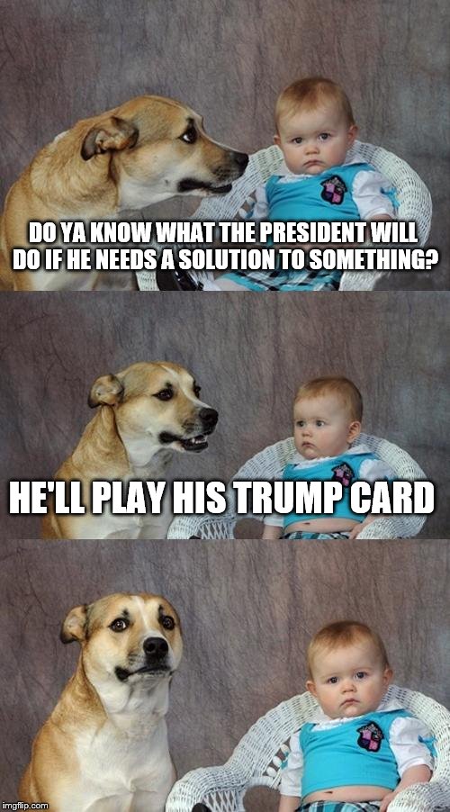 Dad Joke Dog | DO YA KNOW WHAT THE PRESIDENT WILL DO IF HE NEEDS A SOLUTION TO SOMETHING? HE'LL PLAY HIS TRUMP CARD | image tagged in memes,dad joke dog | made w/ Imgflip meme maker