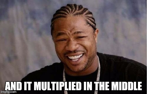 Yo Dawg Heard You Meme | AND IT MULTIPLIED IN THE MIDDLE | image tagged in memes,yo dawg heard you | made w/ Imgflip meme maker