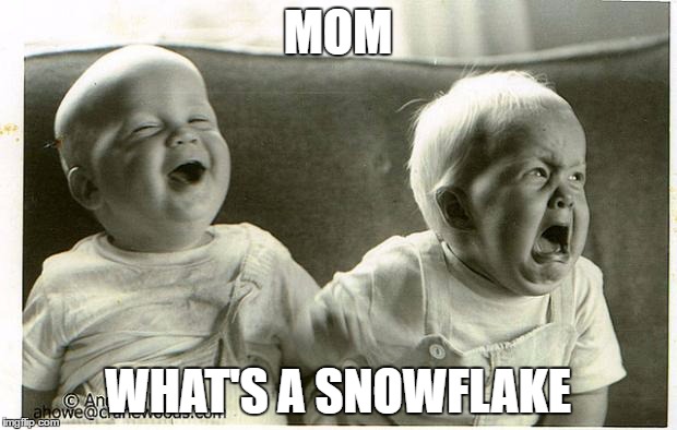 babys | MOM; WHAT'S A SNOWFLAKE | image tagged in babys | made w/ Imgflip meme maker
