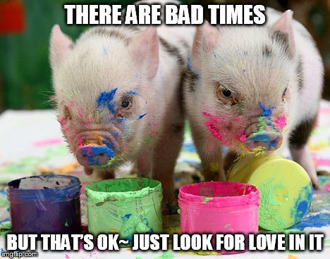 DMB PIG | THERE ARE BAD TIMES; BUT THAT’S OK~ JUST LOOK FOR LOVE IN IT | image tagged in dmb,dave matthews band,pig,there are bad times but that's ok | made w/ Imgflip meme maker