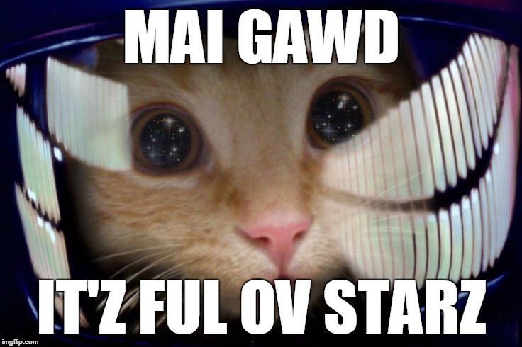 2001 ODYSSEY CAT  | MAI GAWD; IT'Z FUL OV STARZ | image tagged in omg cat,cat,space,2001 a space odyssey | made w/ Imgflip meme maker
