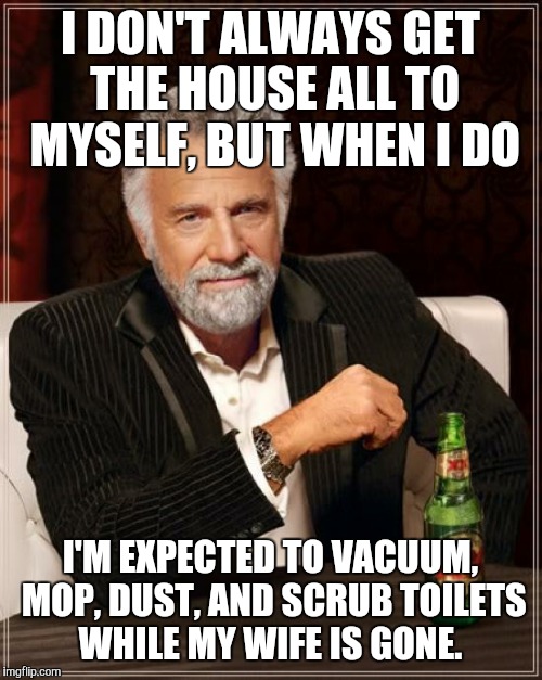 The Most Interesting Man In The World Meme | I DON'T ALWAYS GET THE HOUSE ALL TO MYSELF, BUT WHEN I DO; I'M EXPECTED TO VACUUM, MOP, DUST, AND SCRUB TOILETS WHILE MY WIFE IS GONE. | image tagged in memes,the most interesting man in the world | made w/ Imgflip meme maker