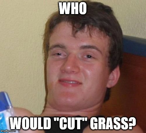 10 Guy Meme | WHO WOULD "CUT" GRASS? | image tagged in memes,10 guy | made w/ Imgflip meme maker