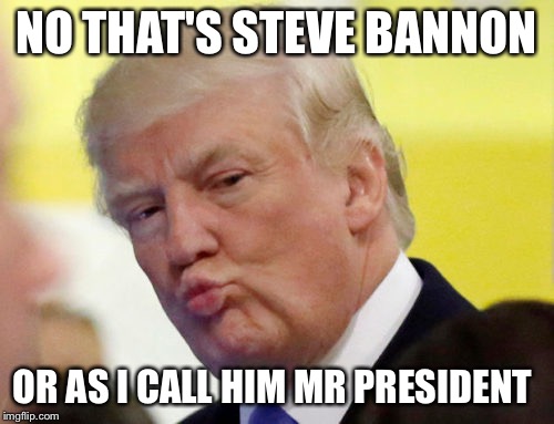 Rule thirty four | NO THAT'S STEVE BANNON OR AS I CALL HIM MR PRESIDENT | image tagged in rule thirty four | made w/ Imgflip meme maker
