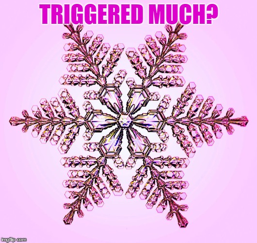 TRIGGERED MUCH? | made w/ Imgflip meme maker